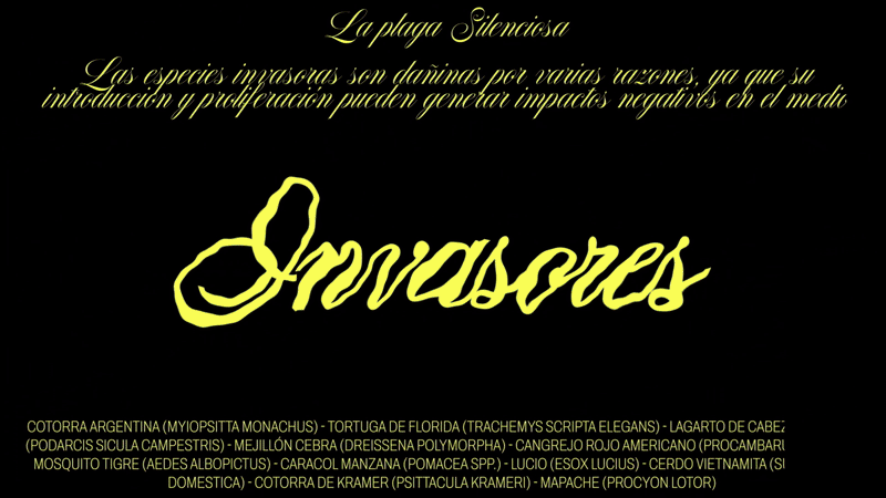Invasores foto 4